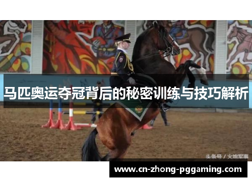 马匹奥运夺冠背后的秘密训练与技巧解析 马匹奥运夺冠背后的秘密训练与技巧解析